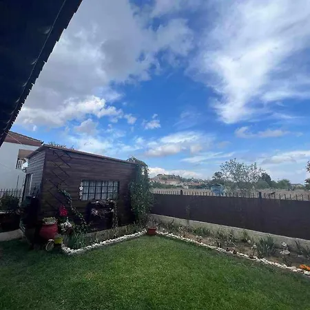 فيلة House نيا بلاجيا