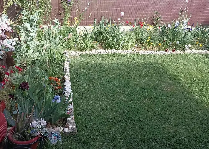 فيلة House *