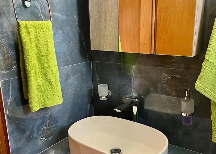 فيلة House