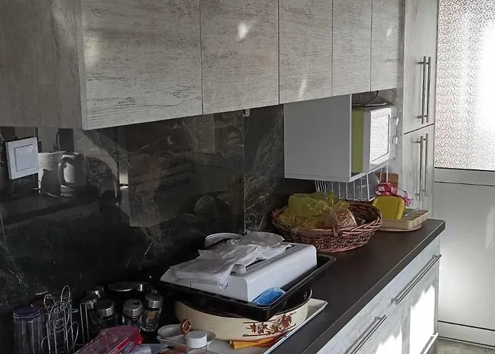 فيلة House