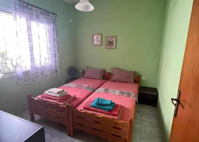 فيلة House