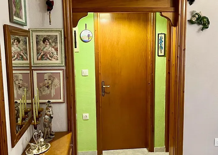 فيلة House *